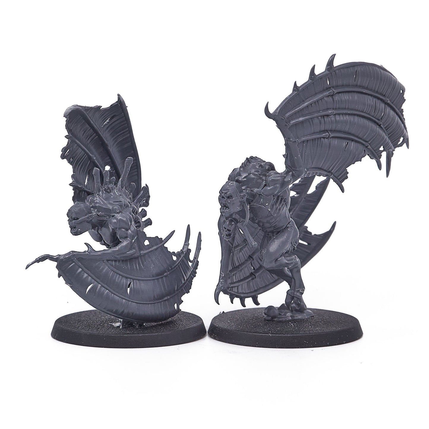 Flesh-eater Courts - Crypt Flayers (16767-V) - Used