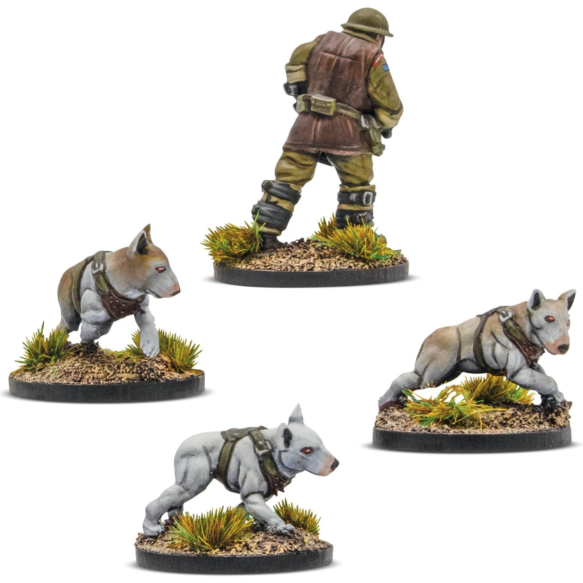Cerberus Squad 1