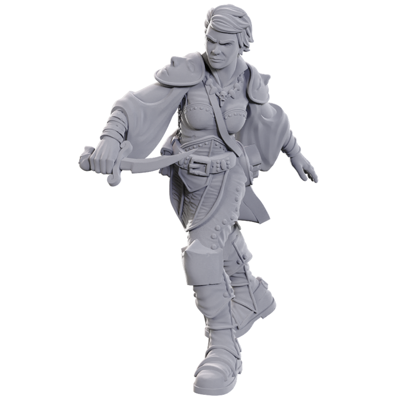 D&D Unpainted Minis: Swashbucklers