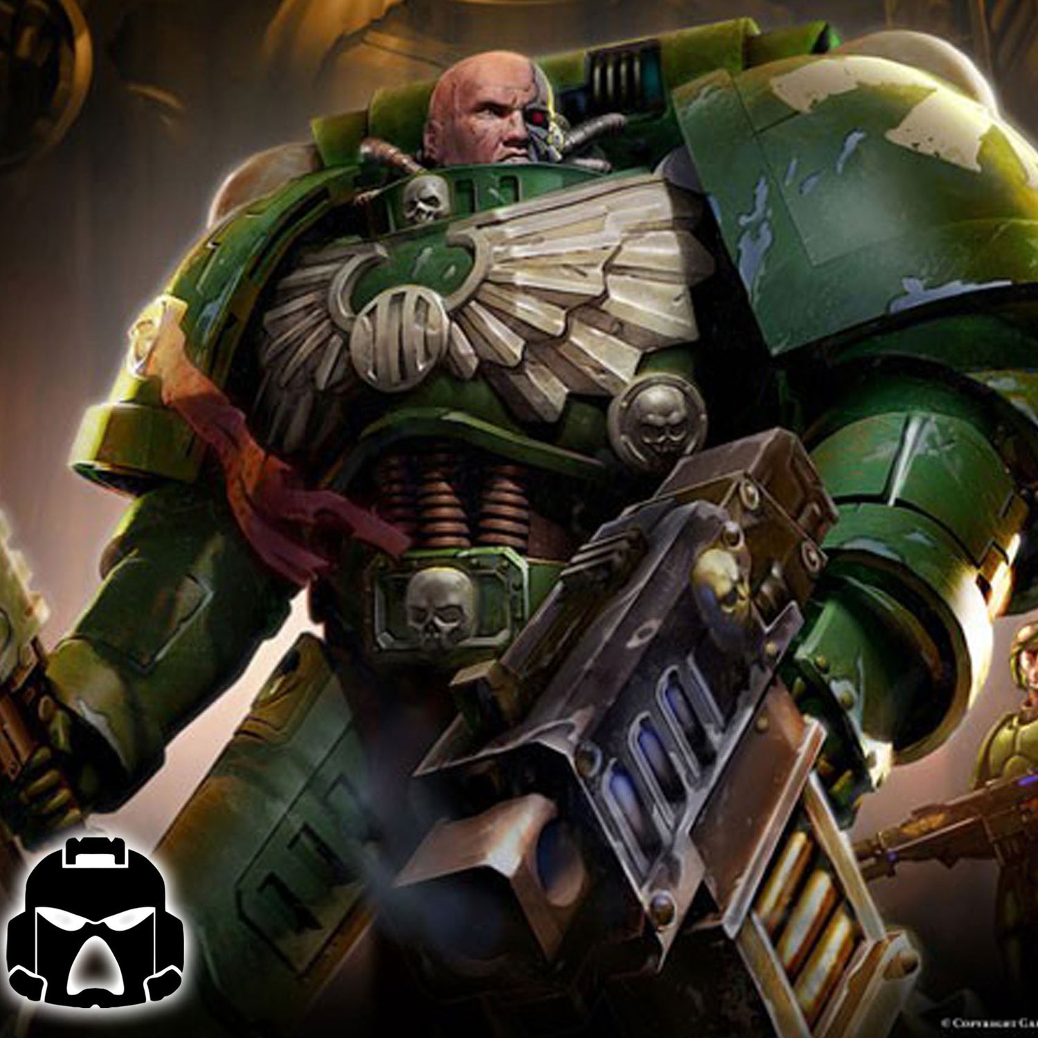 Salamanders (Used)