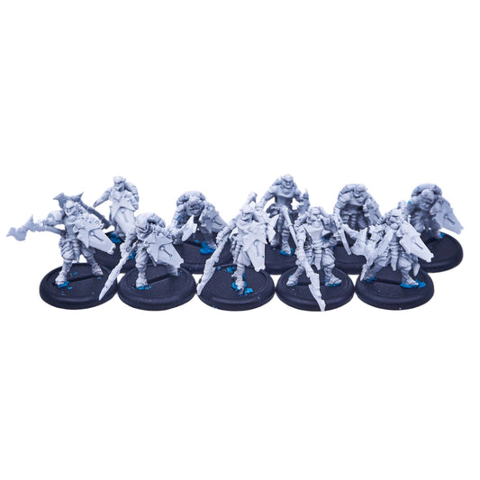 Retribution of Scyrah - Houseguard Halberdiers pip35059 (08318) - Used