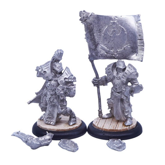 Cygnar - Sword Knight Officer & Standard pip31059 (08370) - Used