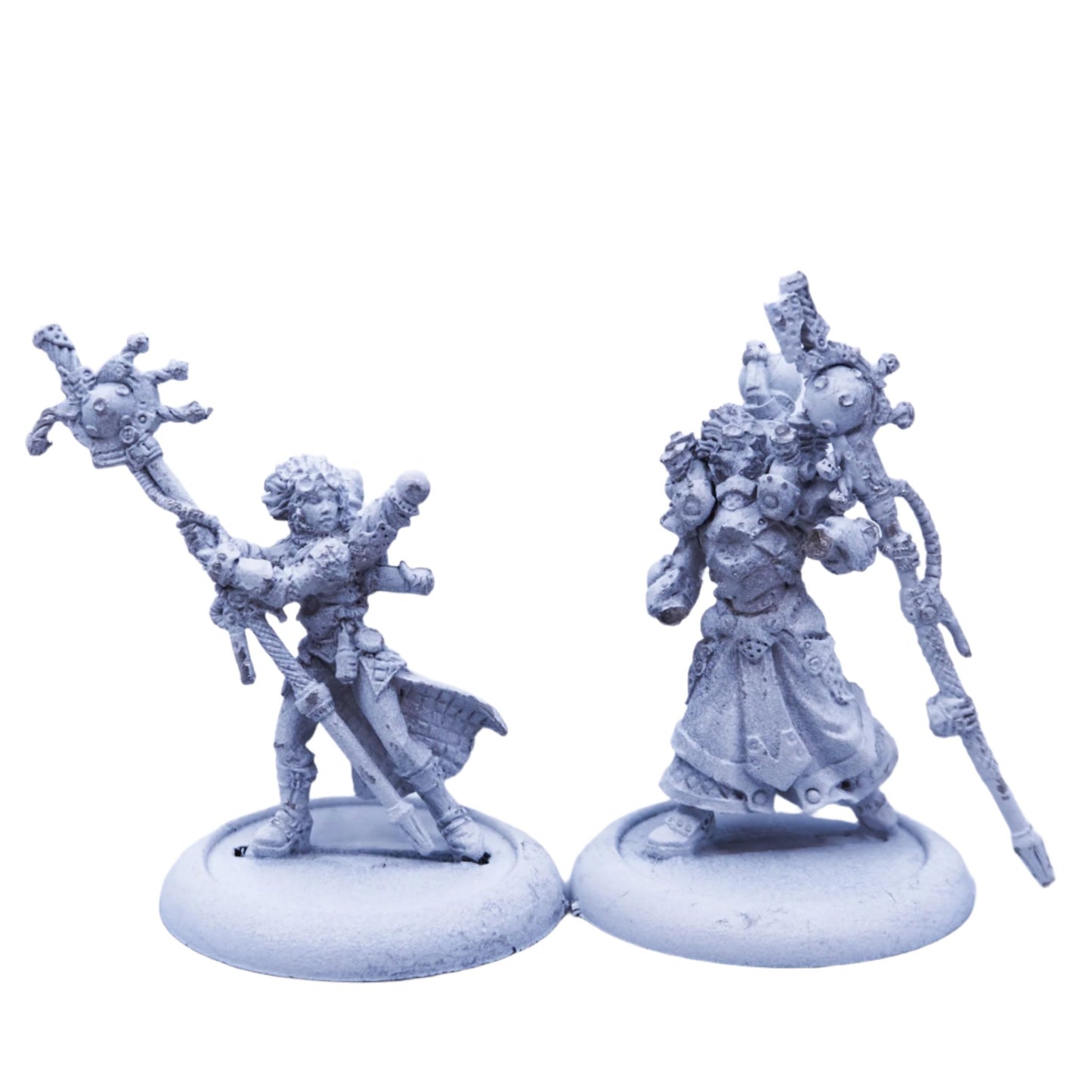 Cygnar - Artificer General Nemo & Storm Chaser Adept Caitlin Finch pip31093 (08399) - Used