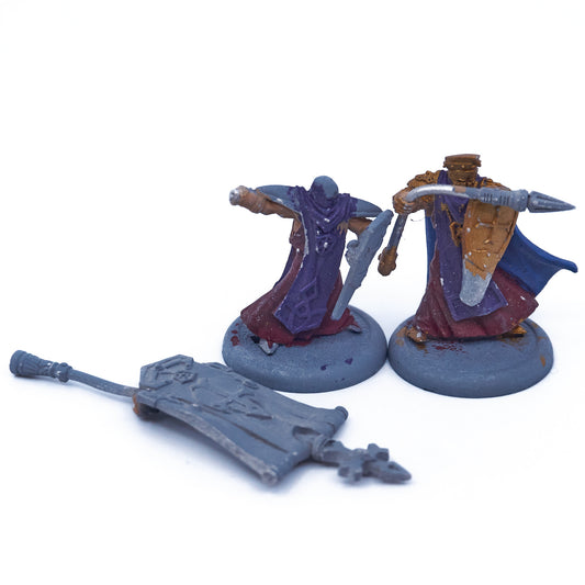 The Protectorate of Menoth - Temple Flameguard Officer Standard Bearer pip32047 (08896) - Used