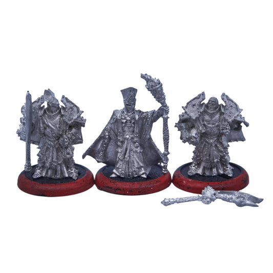 The Protectorate of Menoth - Visgoth Rhoven Honor Guard pip32056 (08964) - Used