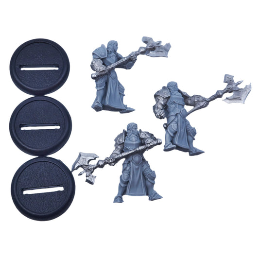 The Protectorate of Menoth - Initiate of the Wall pip32072 (09017) - Used