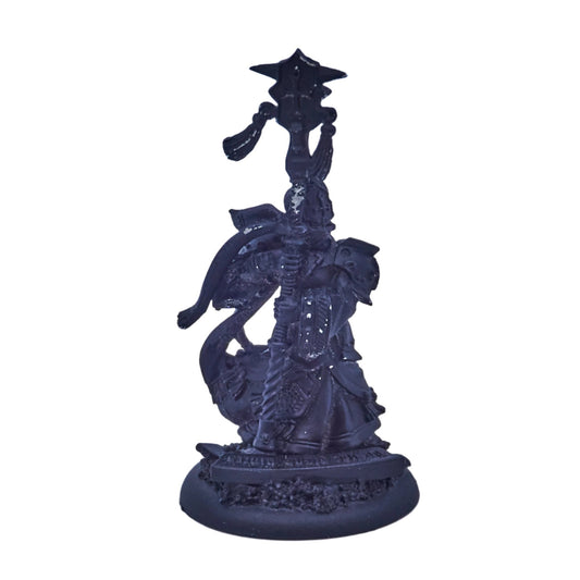 The Protectorate of Menoth - Attendant Priest pip32074 (09019) - Used