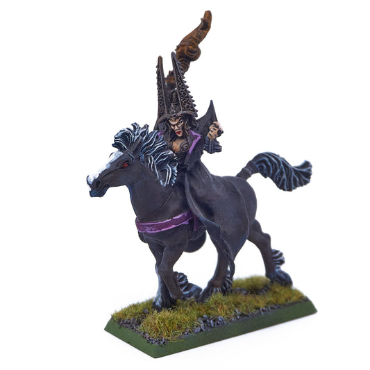 Dark Elves - Mounted Sorceress (Converted) (09944) - Used