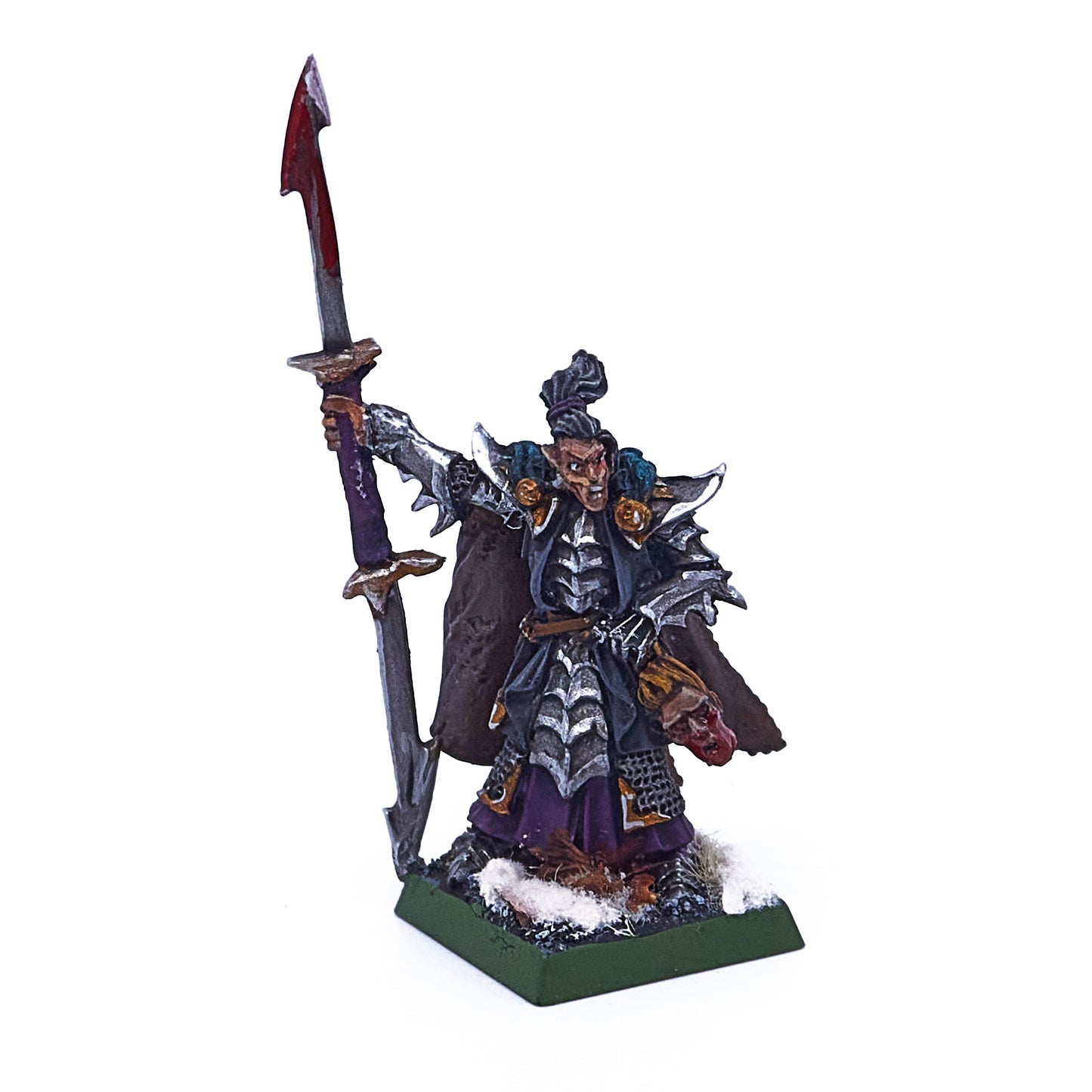 Dark Elves - Dreadlord (Converted) (09948) - Used