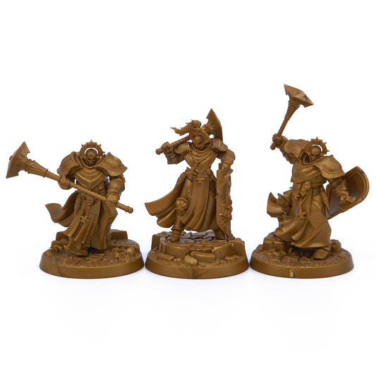Stormcast Eternals - Sequitors (10602) - Used