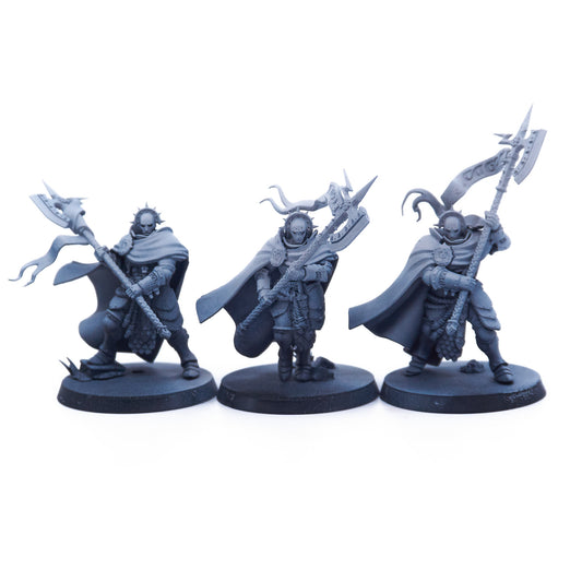 Stormcast Eternals - Praetors (10672-V) - Used