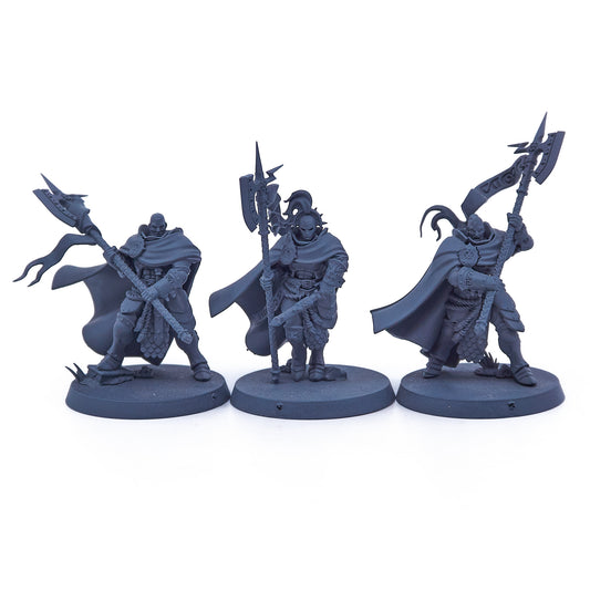 Stormcast Eternals - Praetors (10908-V) - Used