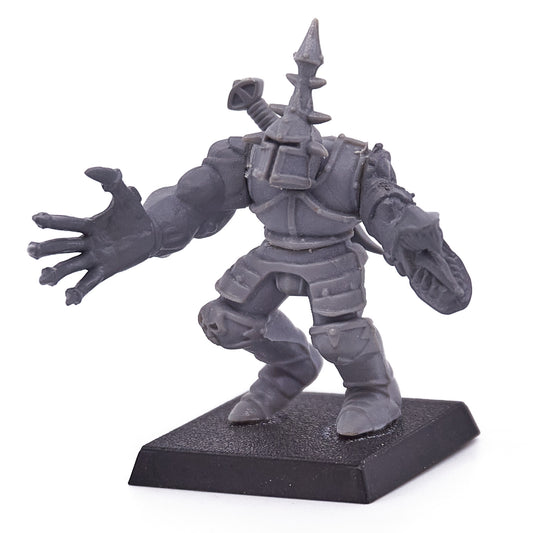 Warriors of Chaos - Forsaken (12941) - Used