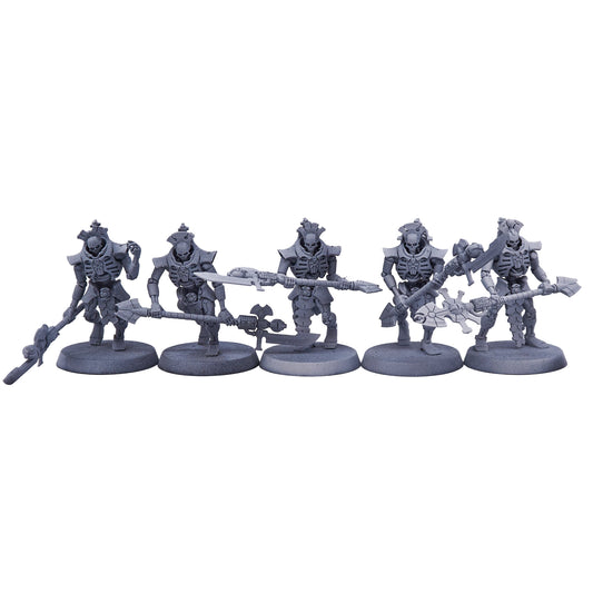 Necrons - Lychguard (13343-V) - Used