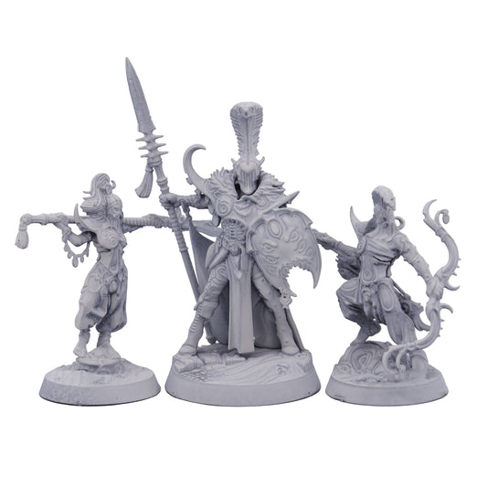 Hedonites of Slaanesh - Dread Pageant (13899) - Used