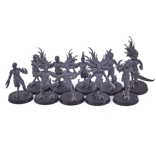 Hedonites of Slaanesh - Daemonettes of Slaanesh (14061) - Used