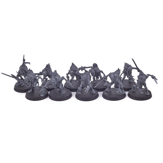 Flesh-eater Courts - Cryptguard (14113) - Used