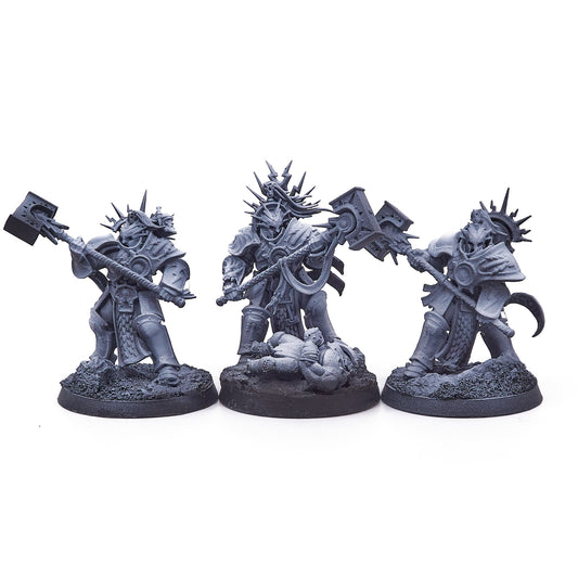 Stormcast Eternals - Paladins (14490-V) - Used