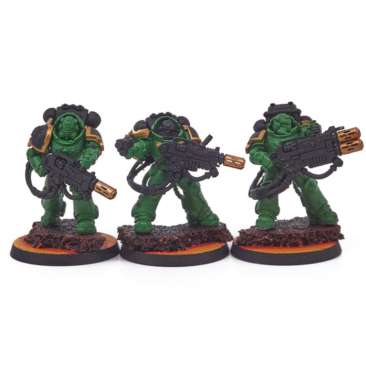 Salamanders - Primaris Eradicators (14715-V) - Used