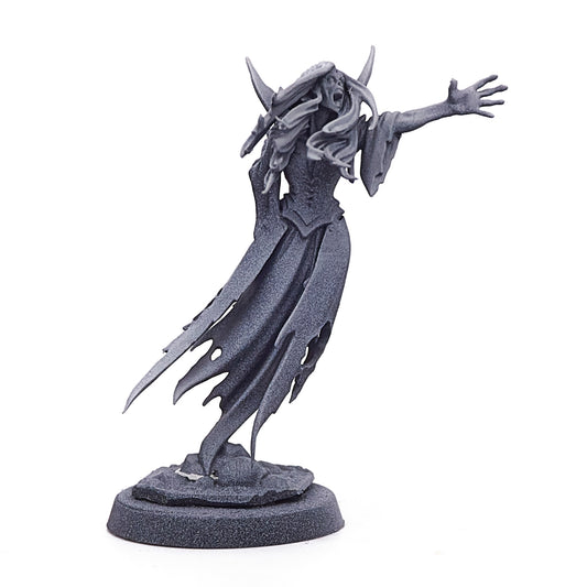 Soulblight Gravelords - Tomb Banshee (14805) - Used