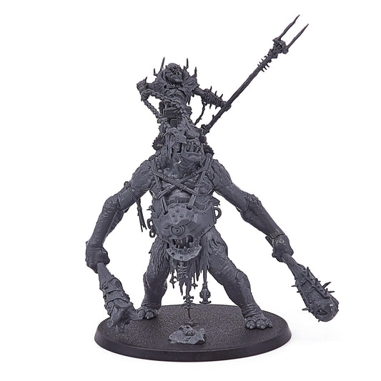 Orruk Warclans - Breaka-boss on Mirebrute Troggoth (15009-V) - Used