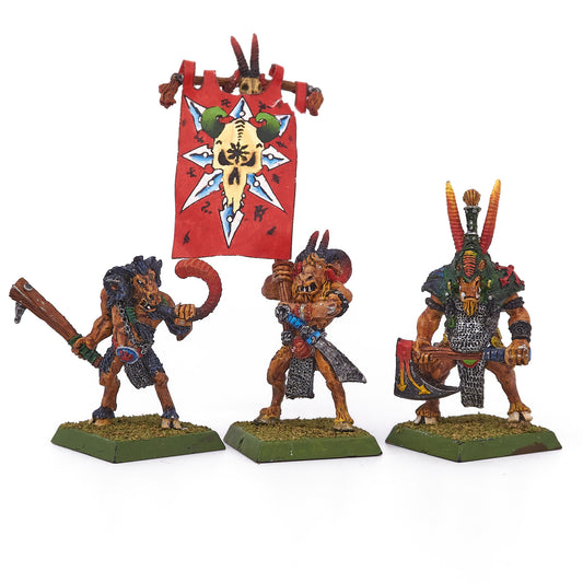 Beastmen Brayherds - Bestigor Command Group (15448) - Used