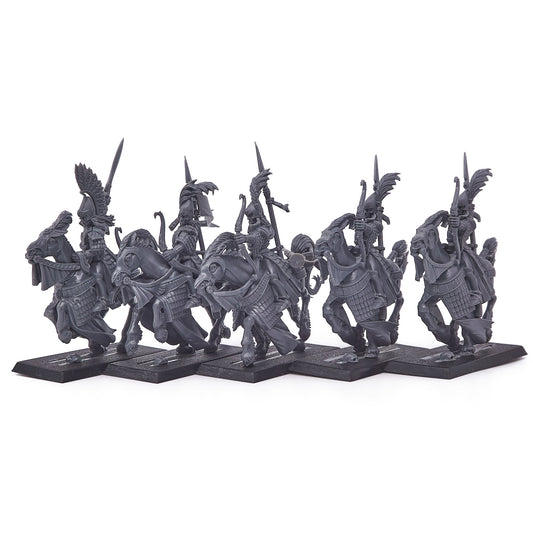 High Elf Realms - Ellyrian Reavers (15729) - Used