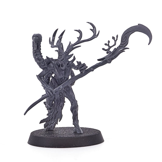 Sylvaneth - Branchwych (15826) - Used