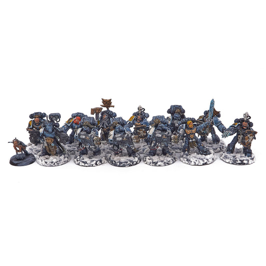 Space Wolves - Space Wolves Lot (15993) - Used