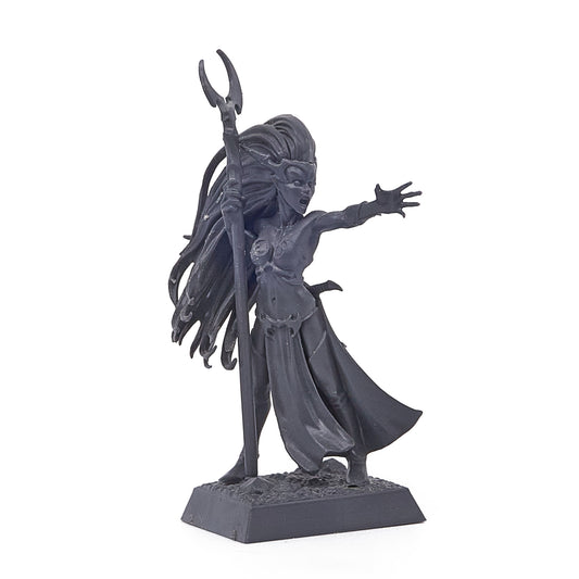 Dark Elves - Sorceress (16277) - Used