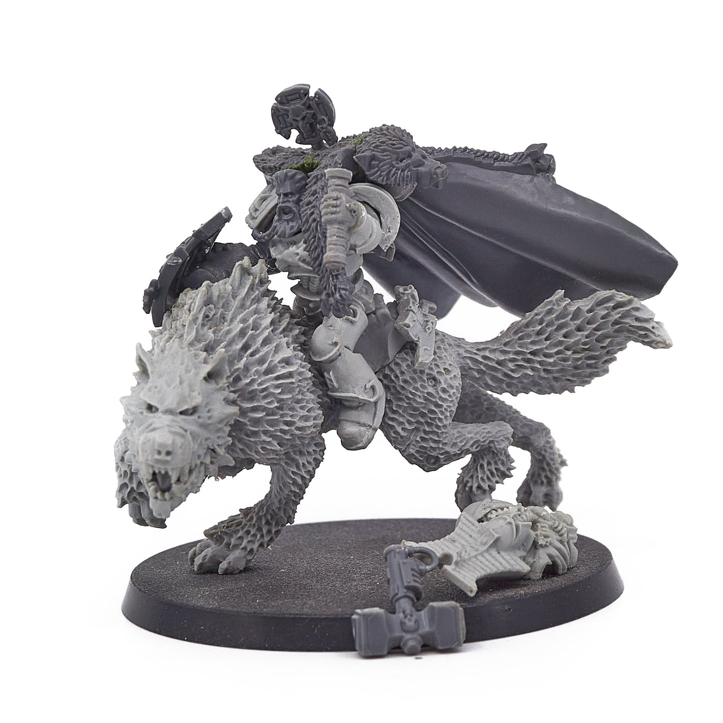 Space Wolves - Canis Wolfborn (Converted) (16379) - Used