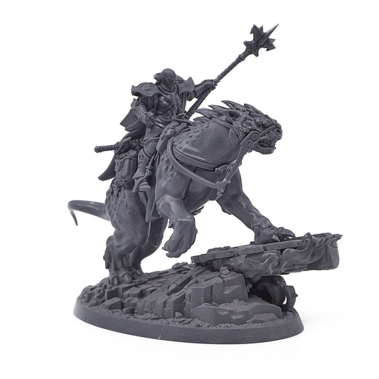 Stormcast Eternals - Astreia Solbright (16998-V) - Used