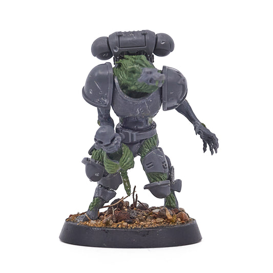 Space Wolves - Wulfen (Converted) (17337) - Used