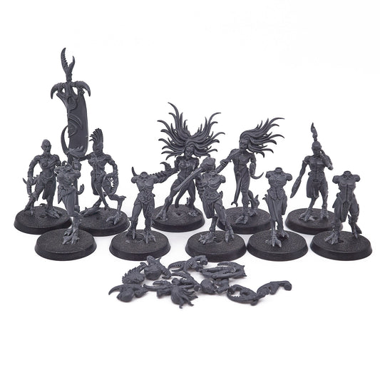 Hedonites of Slaanesh - Daemonettes of Slaanesh (17670) - Used