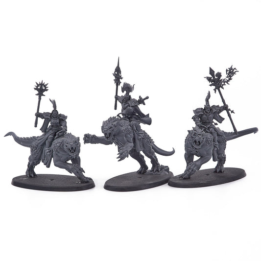 Stormcast Eternals - Evocators on Celestial Dracolines (17723) - Used