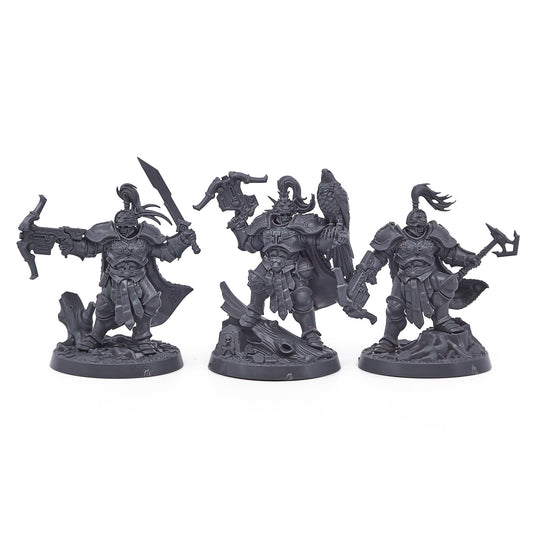 Stormcast Eternals - The Farstriders (17724) - Used