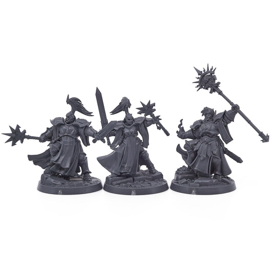 Stormcast Eternals - Stormsire's Cursebreakers (17727) - Used