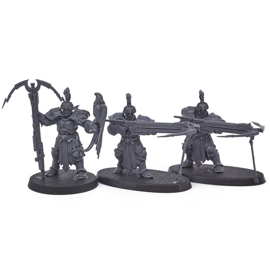 Stormcast Eternals - Vanguard-Raptors (18231) - Used