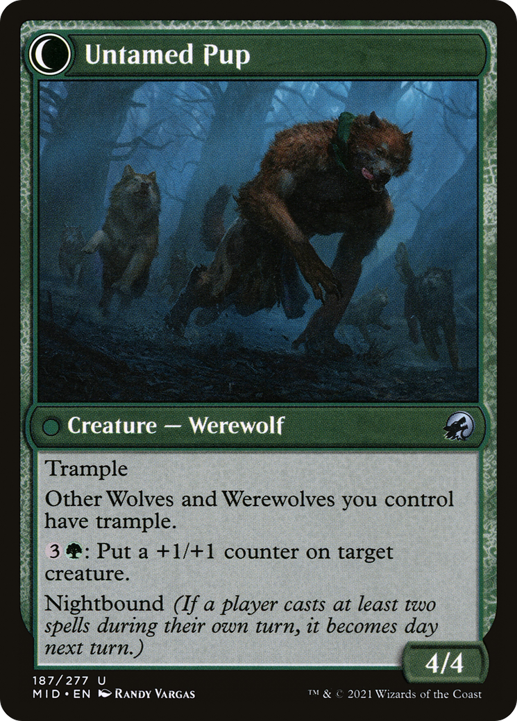 Hound Tamer // Untamed Pup (MID-187) - Innistrad: Midnight Hunt: (Double Faced Transform)