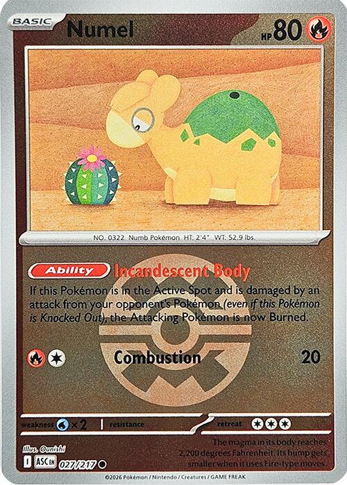 Numel - 027/217 (Quick Ball) [ME: Ascended Heroes]