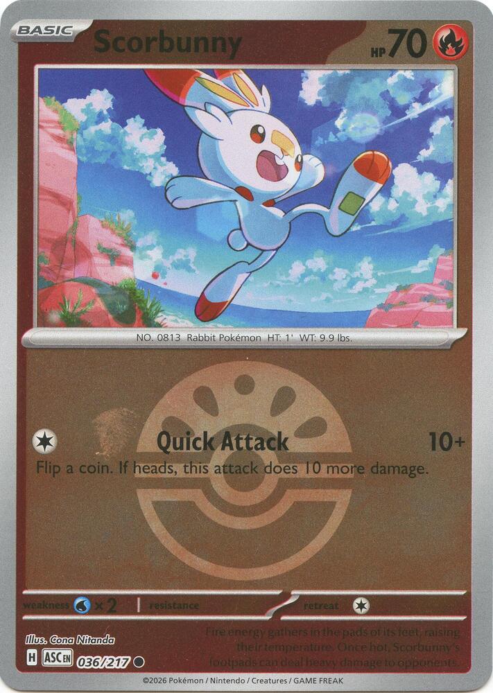 Scorbunny - 036/217 (Friend Ball) [ME: Ascended Heroes]