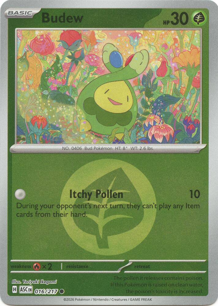 Budew - 016/217 (Energy Symbol Pattern) [ME: Ascended Heroes]