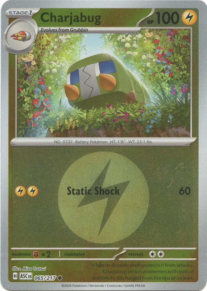 Charjabug (Energy Symbol Pattern) (065/217) [ME: Ascended Heroes]