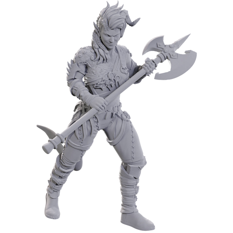 D&D Unpainted Minis - Baldur's Gate 3 - Wyll & Karlach (96367)