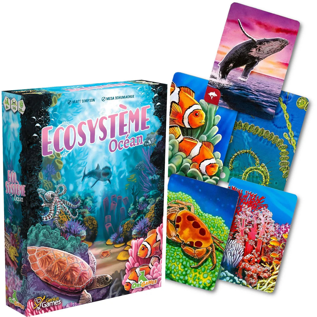 Écosystème - Océan