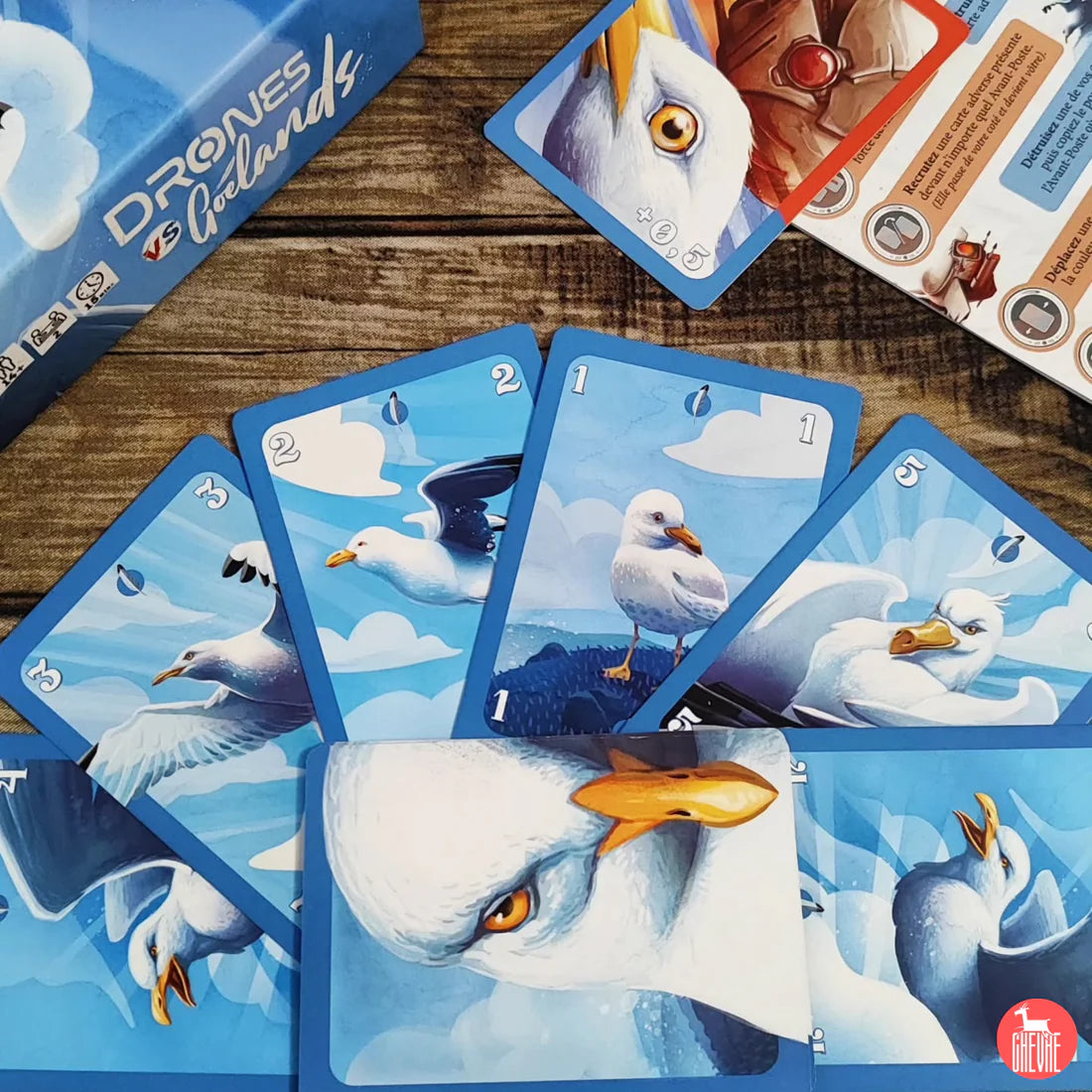 Drones vs Goélands
