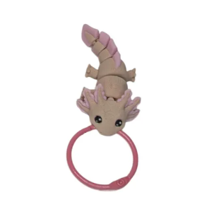 Dragon Master Hoard - Mini Familiar keychains