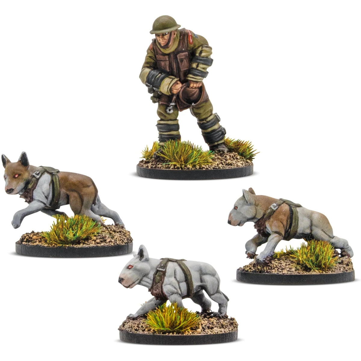 Cerberus Squad 1