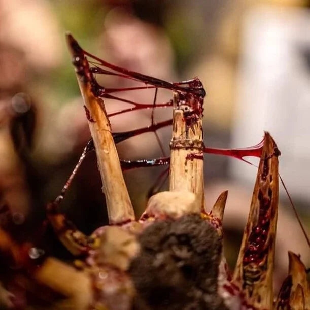 Dirty Down - Gore