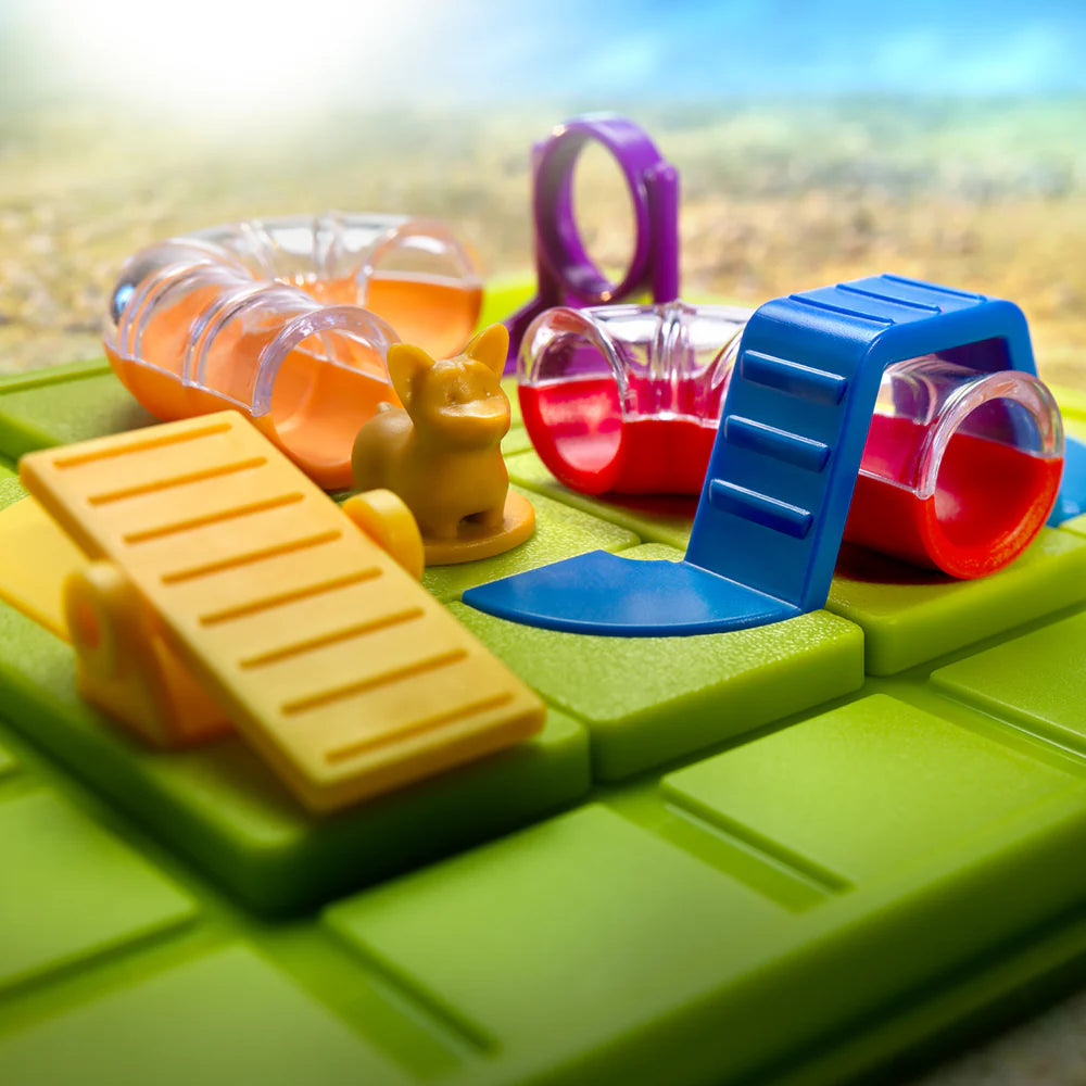 Smart Dog, Obstacle Run